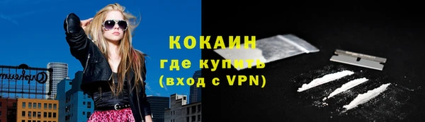 ПСИЛОЦИБИНОВЫЕ ГРИБЫ Абаза