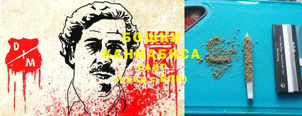 ПСИЛОЦИБИНОВЫЕ ГРИБЫ Абаза