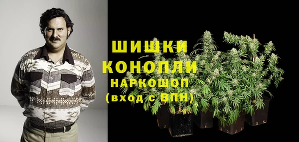 ПСИЛОЦИБИНОВЫЕ ГРИБЫ Абаза