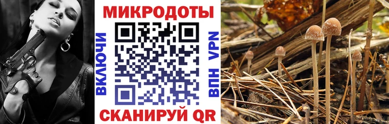 цена   Нальчик  Галлюциногенные грибы мицелий 